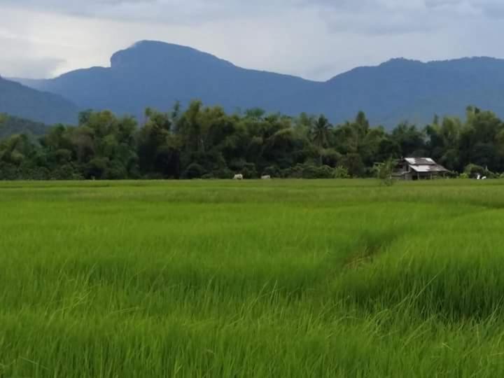 Cactus Hostel Chiang Mai Eksteriør billede